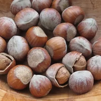 Bogyósgyümölcsök