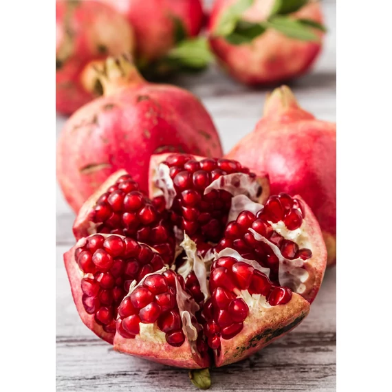 Gránátalma - Punica Granatum 'Parifanka'