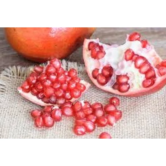 Gránátalma - Punica Granatum 'Mollar de Elche'